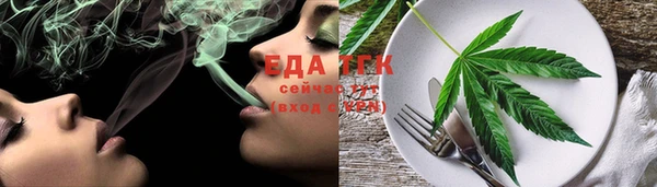 прущие грибы Белая Холуница