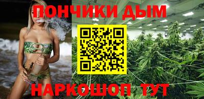 МДПВ Гатчина