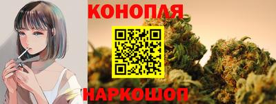 МДПВ Гатчина