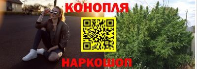 спиды Гагарин