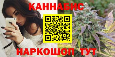 МДПВ Гатчина