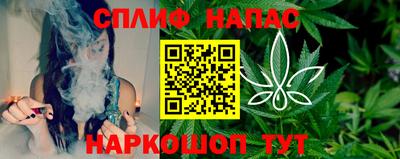 спиды Гагарин