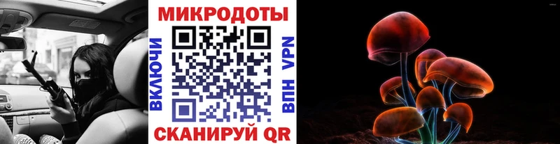 Псилоцибиновые грибы Psilocybe  Красный Сулин 