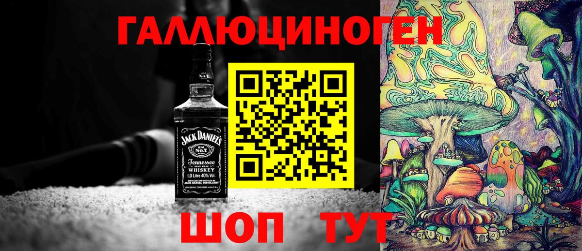 Псилоцибиновые грибы Psilocybe Красный Сулин