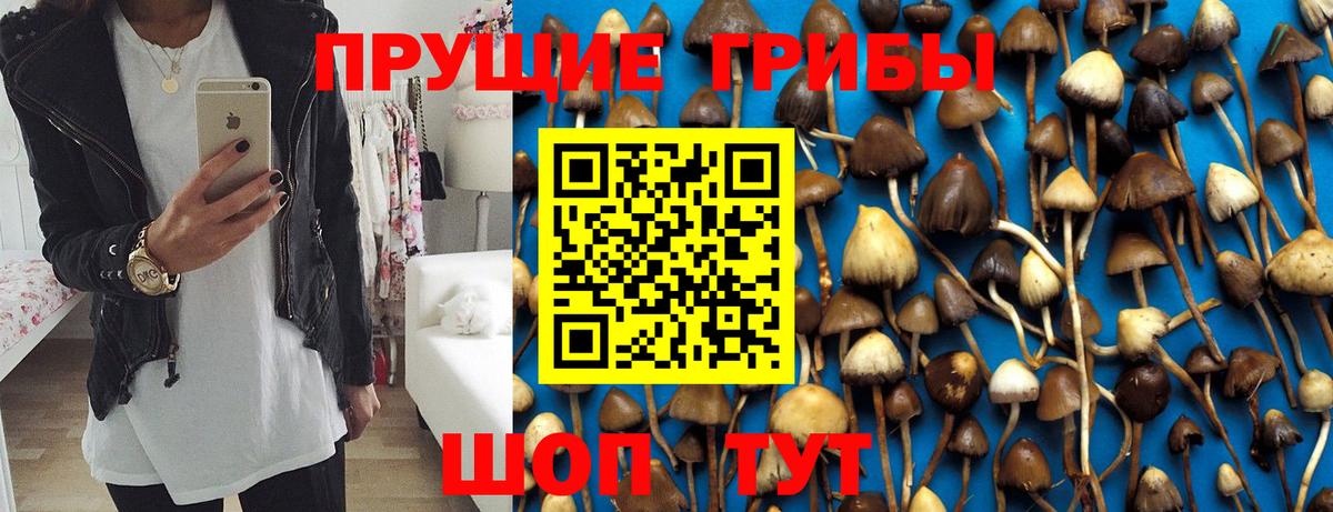Красный Сулин  Галлюциногенные грибы мухоморы  Вход с VPN  Псилоцибиновые грибы Psilocybe 